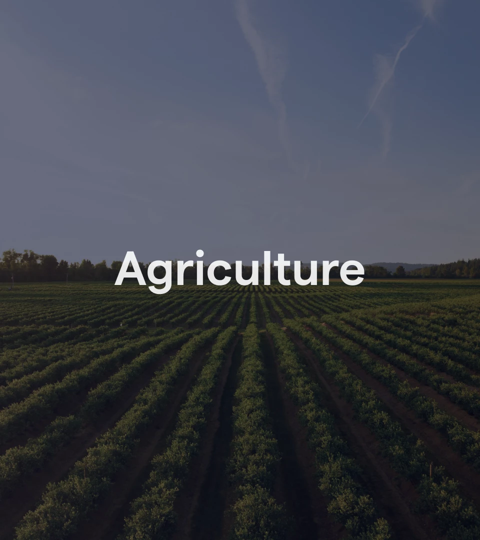 Agriculture